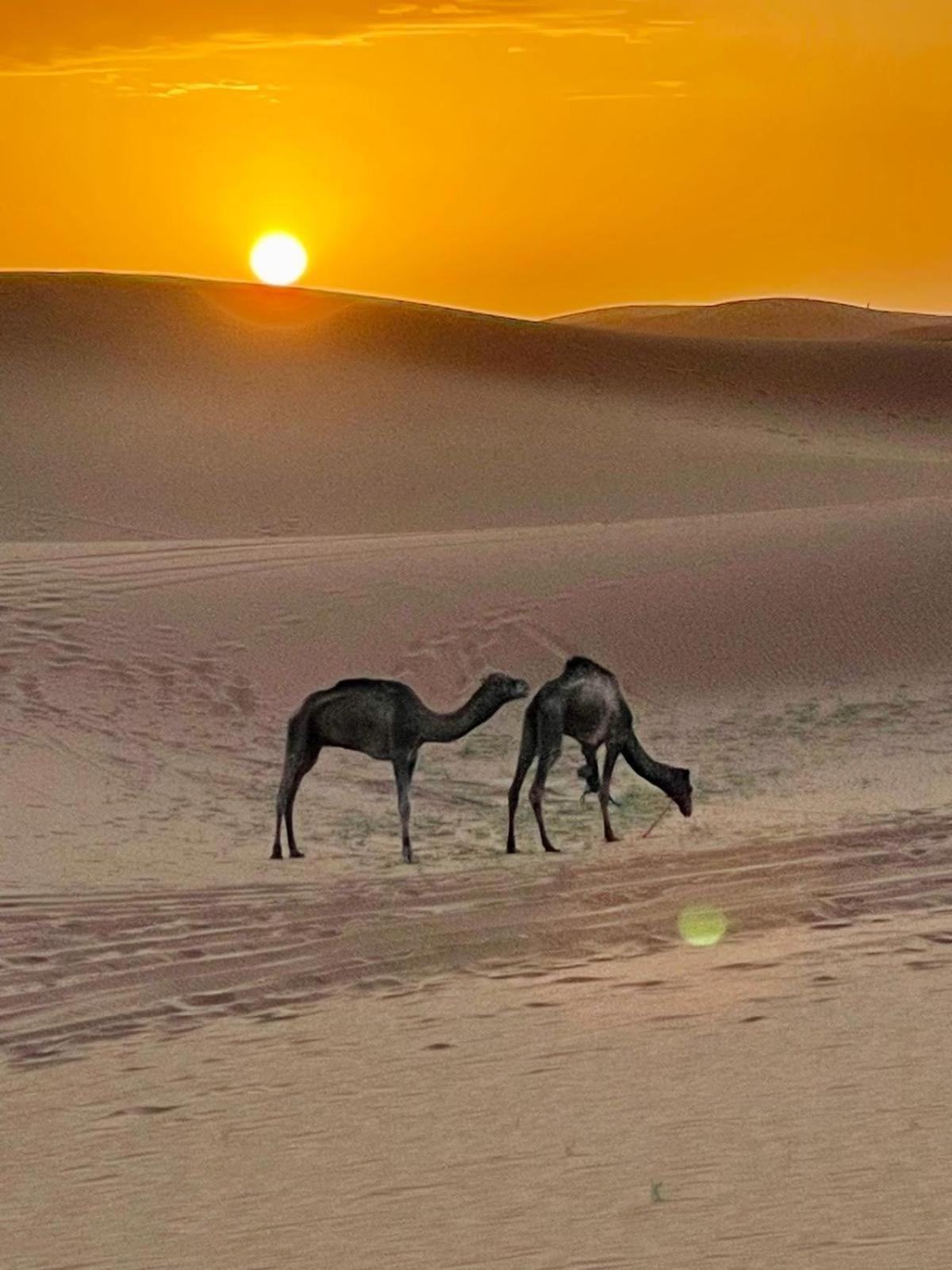 Chigaga Desert Camp M'Hamid Bagian luar foto